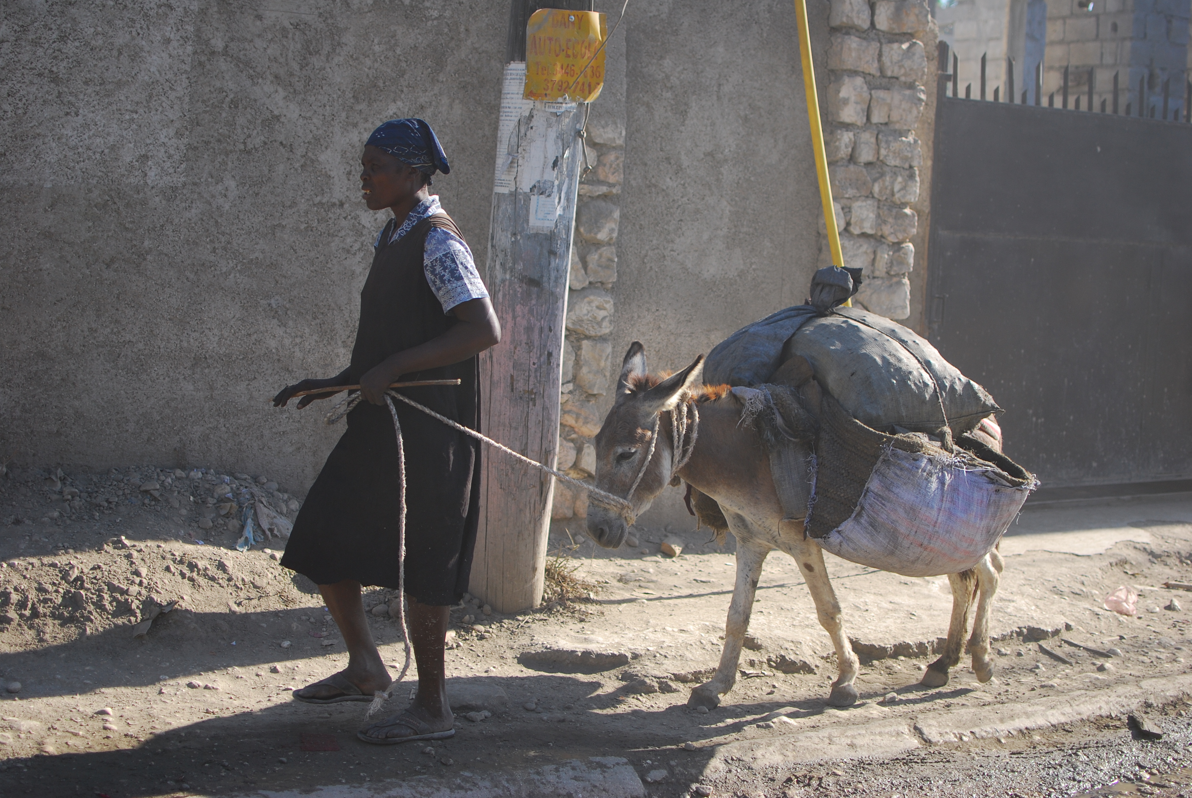 Haiti 2012 Steins 061